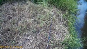 Ловля пескарей на речке.1 часть.