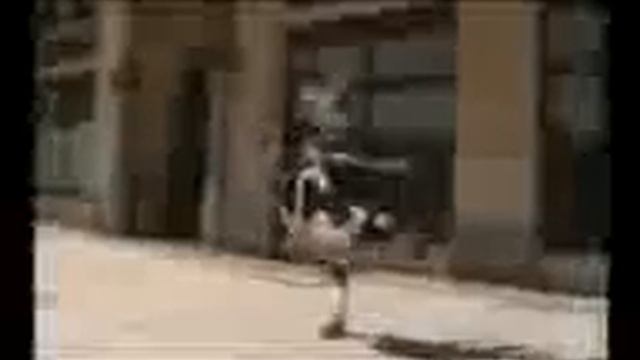 Такса и другие! смотреть онлайн