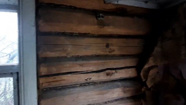 КОП ЦАРСКИХ МОНЕТ С МЕТАЛОИСКАТЕЛЕМ! #копвидео #металоискатель #коп #2023 смотреть онлайн
