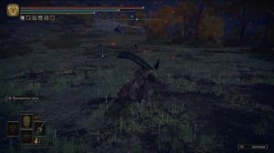 Двуручник Бича Звёзд Elden Ring Обзор