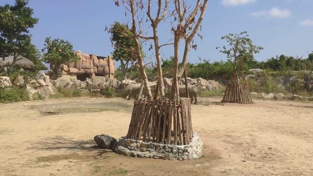 Зоопарк на Винперле Vinpearl zoo Nha Trang в Нячанге смотреть онлайн