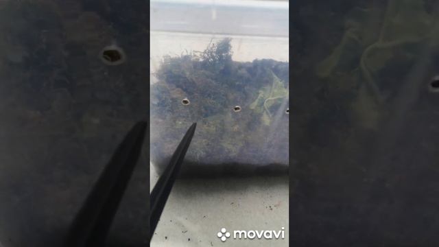 16 июня 2023 г. смотреть онлайн