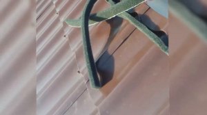 38 Уплотнитель коньковой планки на металлочерепицу