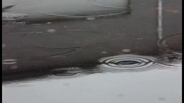 Церемония открытия авторизованной сервисной станции Volvo Trucks в Хабаровске 24 мая 2013 года смотреть онлайн