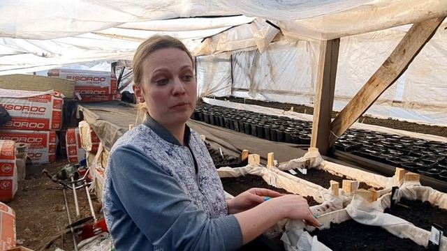 Бизнес в деревне. Сеем цветы. Деревенские сотки смотреть онлайн