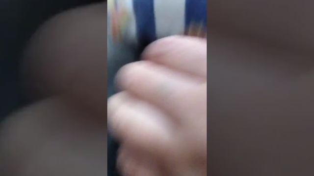 Мой котик смотреть онлайн