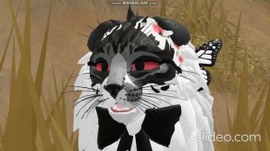 Коты воители/роблокс/Что делают старейшины