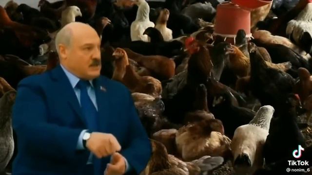 А я сейчас вам покажу )) Лукашенко )))) смотреть онлайн