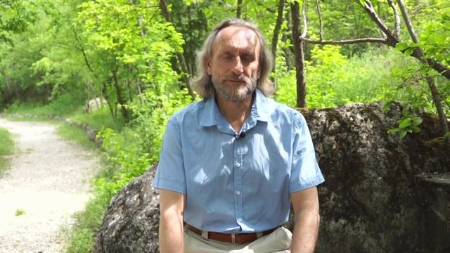 Почему возникает чувство вины? и Как жить без чувства вины/Валерий Синельников смотреть онлайн