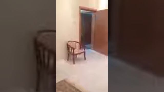 Вот так надо будить на утренний намаз ! смотреть онлайн