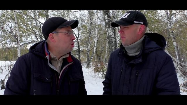 Белый белый белый лебедь... перезалив