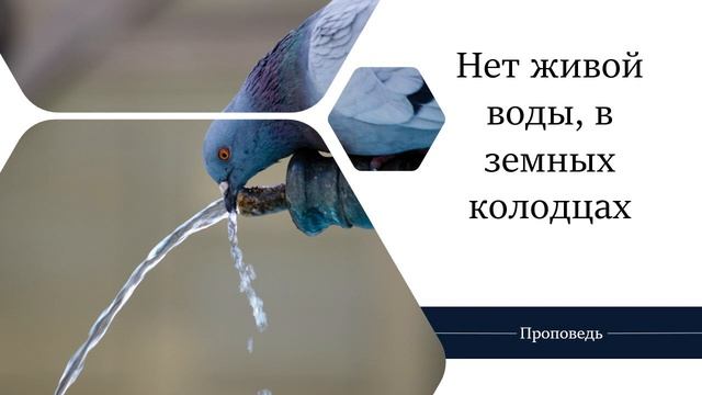 Нет живой воды, в земных колодцах - Проповедь / Анатолий Унрау смотреть онлайн