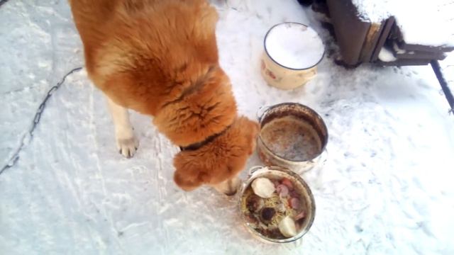 Провожаем Старый год на работе с шашлыком. смотреть онлайн