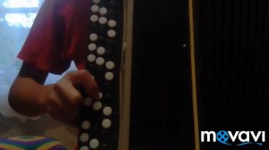 Апипа на баяне разбор. 1 часть