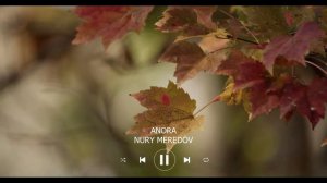 Nurmuhammet Meredow TOP 10 Saylanan Aydymlary | 2022 (Nury Kasoy)