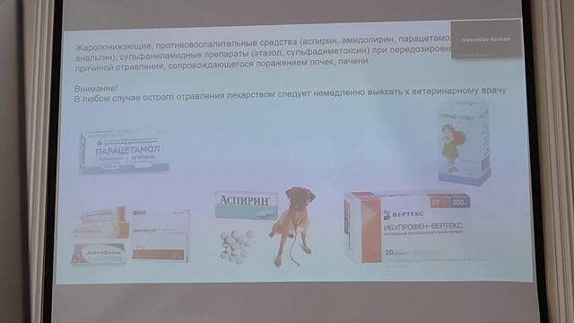 Отравление угарным газом у собак - Врач Елена Цвентарная, Клиника Zoomama смотреть онлайн