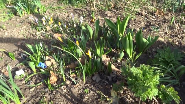 Анапа видео март 2020. Анапа весна пришла