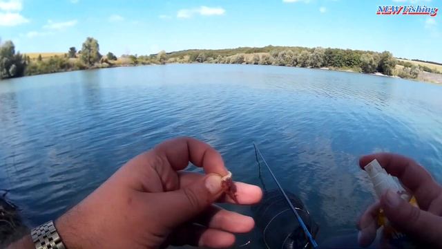 Что делать, если нет поклевок? Ловля на маховую поплавочную удочку. смотреть онлайн