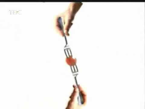 Анонс программы "Гурман" (ТВС, 2003) смотреть онлайн