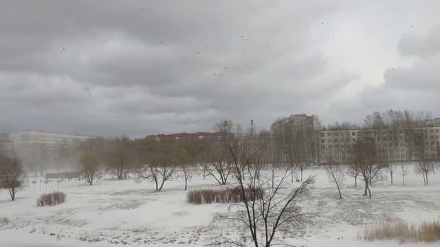 Ветер в СПб смотреть онлайн