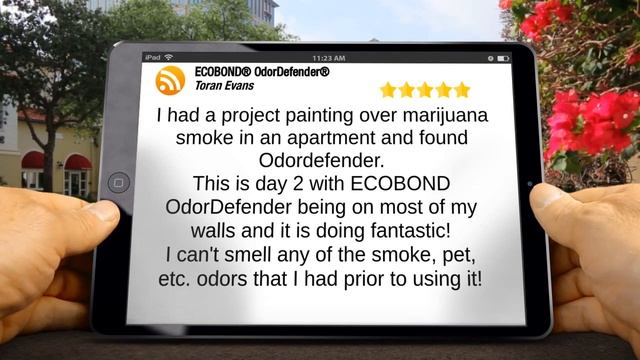 Excellent review for covering pot smoke in house with Ecobond Odordefender смотреть онлайн