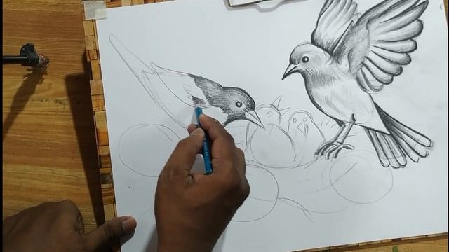 HOW TO DRAW BIRD FAMILY,BIRD AND FLOWERS DRAWING WITH PENCIL SKETCH,BIRD & NEST DRAWING,BIRD DRAWIN смотреть онлайн