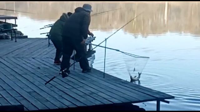 Марлин смотреть онлайн