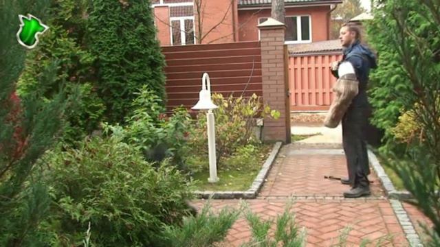 Бувье: охрана коттеджа и владельца (тренировка). смотреть онлайн