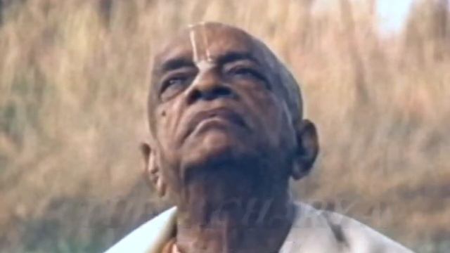 Ачарья - Шрила Прабхупада