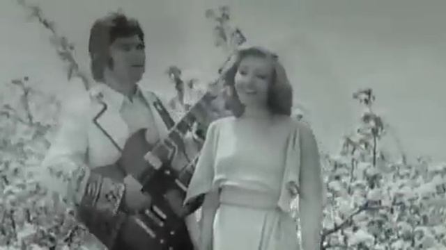 Primavara - Formatia Contemporanul (NOROC)