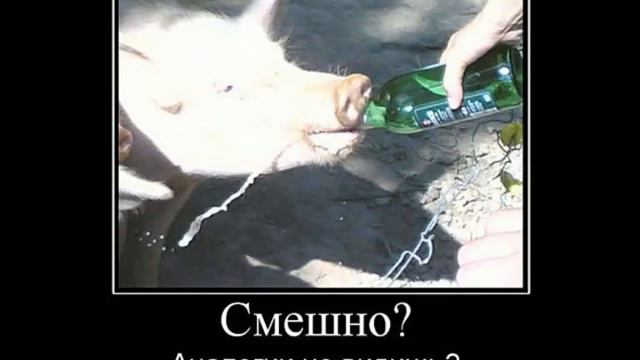 Очень грустные КАРИНКИ ПРО ЖИЗНЬ смотреть онлайн