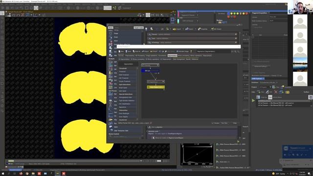Automating Imaging and Analysis in NIS-Elements смотреть онлайн