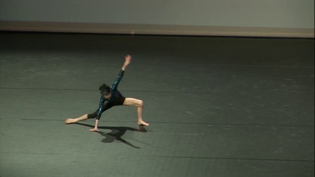 Tayluer Modern Solo - Dance World Cup, Portugal 2014 смотреть онлайн