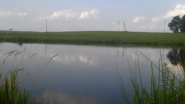 Пруд. Рыбалка. Ласточки над водой. 10.08.2017 смотреть онлайн