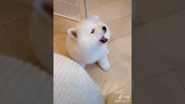 ♡ 10 смотреть онлайн