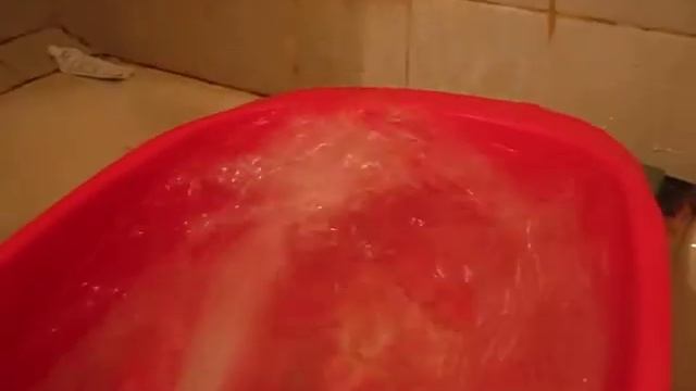 Родной насос от Webasto BBW46 смотреть онлайн