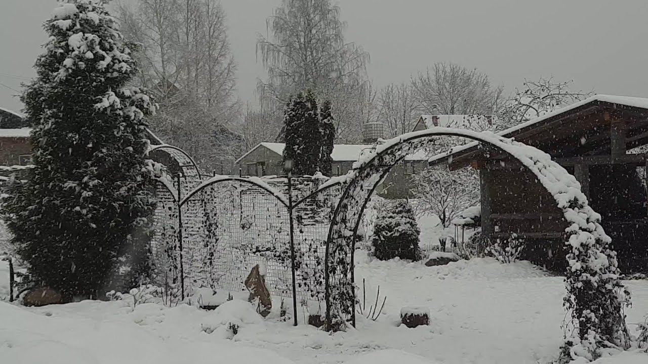 Надежные опоры и арки для клематисов своими руками.
