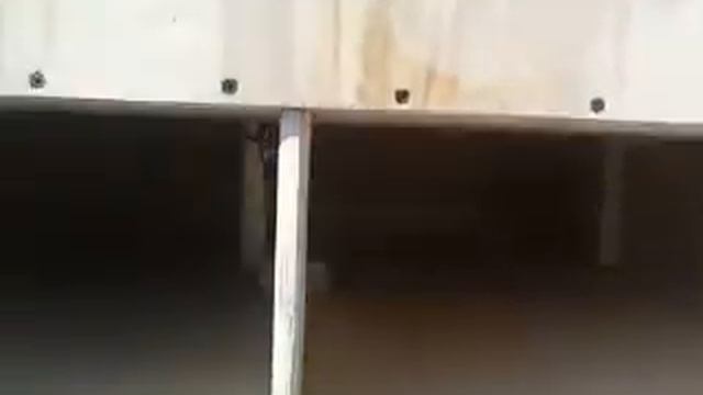 4 18" AQ HDC3's with a RD 5000 watt monoblock смотреть онлайн