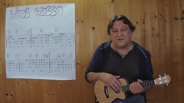 UKULELE Lesson # 488: WILDS WASSA (Die Seer) смотреть онлайн