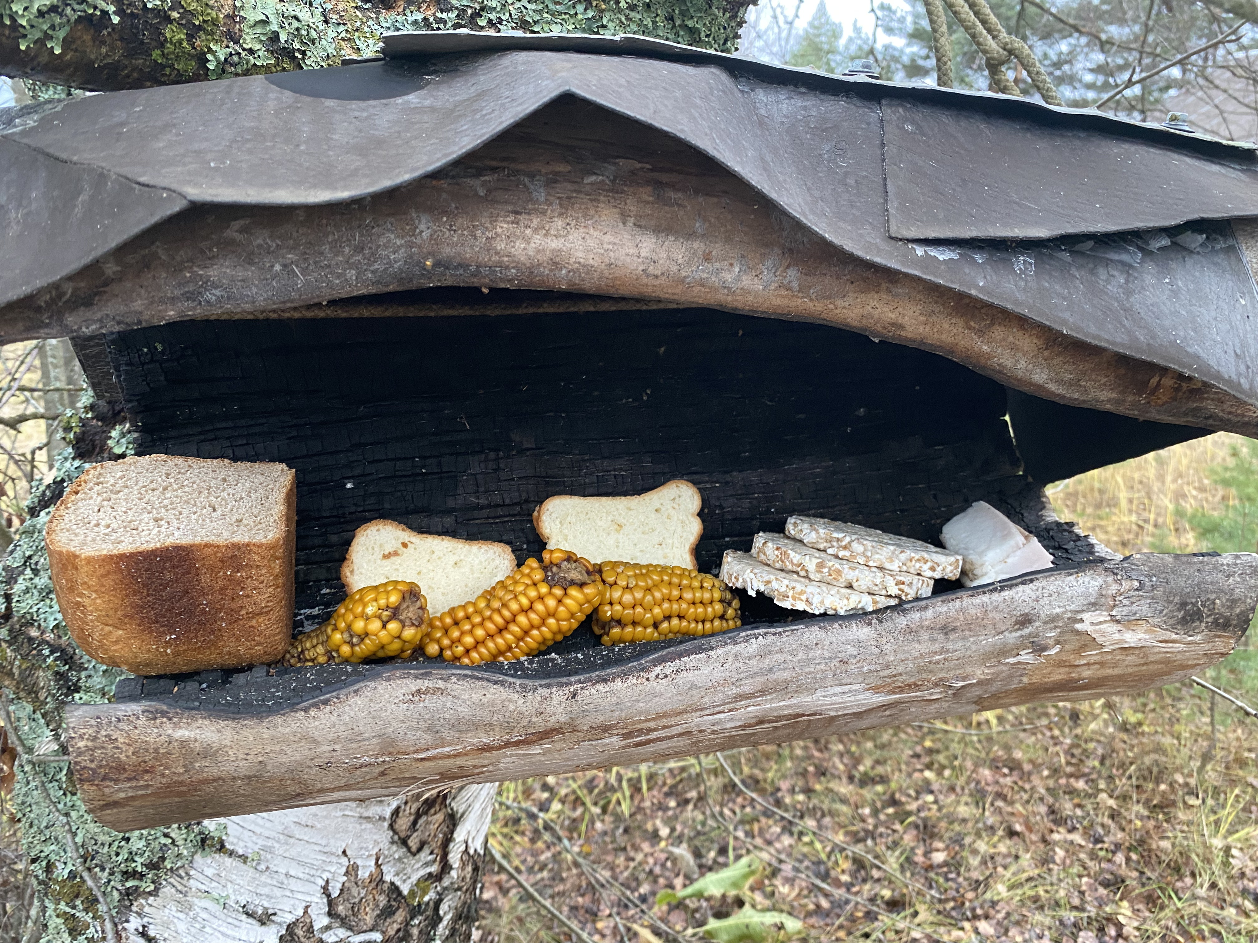 Национальный проект 