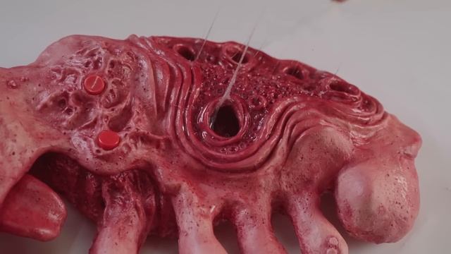 Alien Video Games Console смотреть онлайн