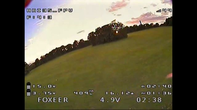 Donut Tree Dive Montage - F A I L U R E ! смотреть онлайн