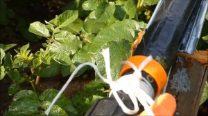 Как установить в огороде эффективную систему для полива "Туман"