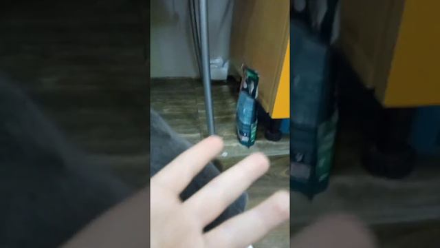 КоШкА не стала есть корм за 34 рубля и ............ смотреть онлайн