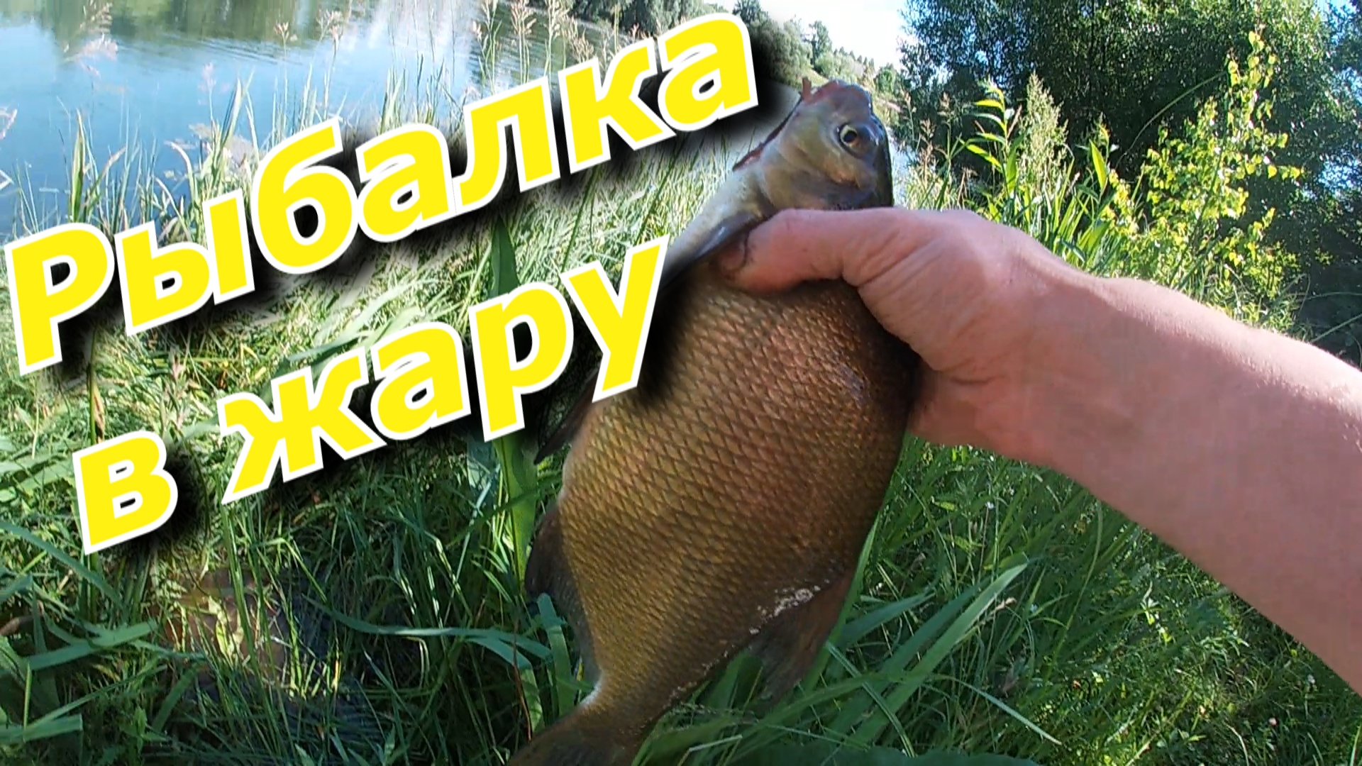 Рыбалка в жару, ловля подлещика на поплавочную удочку. смотреть онлайн