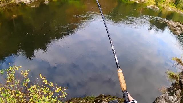 СЛОЖНОЕ РЕШЕНИЕ! РЫБАЛКА НА ЛОСОСЬ В США. Осенняя Чавыча. Икра для насадки. Почему Резать Жабры. смотреть онлайн