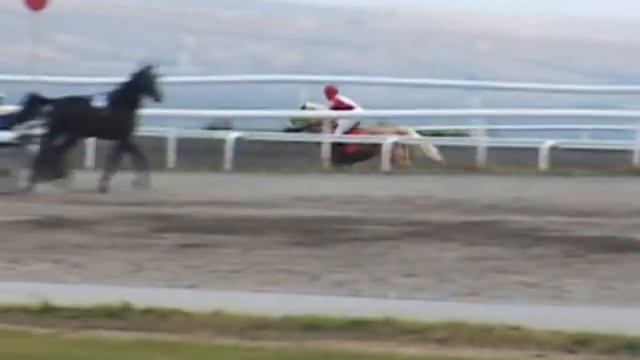 11 Октября 2017г - 2 Скачка ПРИЗ СЛАВА БАШКОРТОСТАНА смотреть онлайн