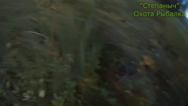 На озёра за утками "Палка Доставалка" 03 09 21 смотреть онлайн