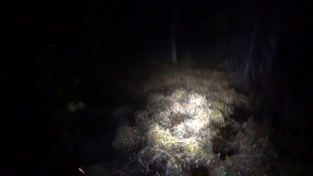 ПОДКРАЛСЯ БЕЗ ПЕСНИ! ГЛУХАРИНЫЙ ТОК. НЕ ЗРЯ ПРИСТРЕЛЯЛ РУЖЬЁ ATA ARMS NEO 12 смотреть онлайн