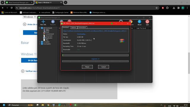 O Melhor Gerenciador de Downloads GRÁTIS para Pc 2024, neat download manager смотреть онлайн
